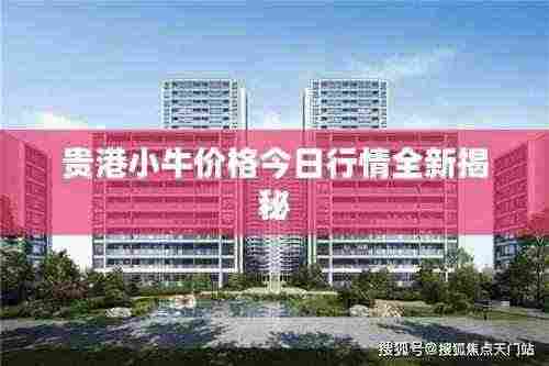贵港小牛价格今日行情全新揭秘