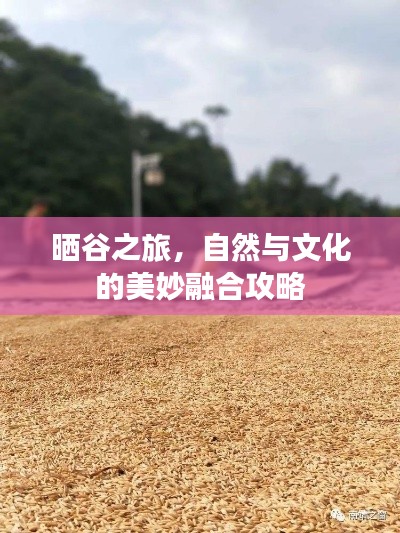晒谷之旅，自然与文化的美妙融合攻略