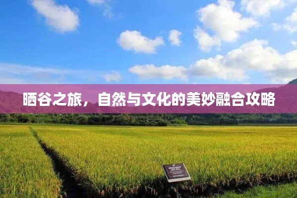 晒谷之旅,自然与文化的美妙融合攻略