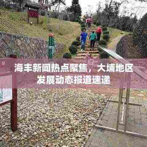 海丰新闻热点聚焦,大埔地区发展动态报道速递