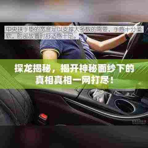 探龙揭秘,揭开神秘面纱下的真相真相一网打尽!