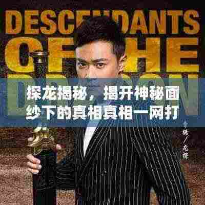 探龙揭秘,揭开神秘面纱下的真相真相一网打尽!