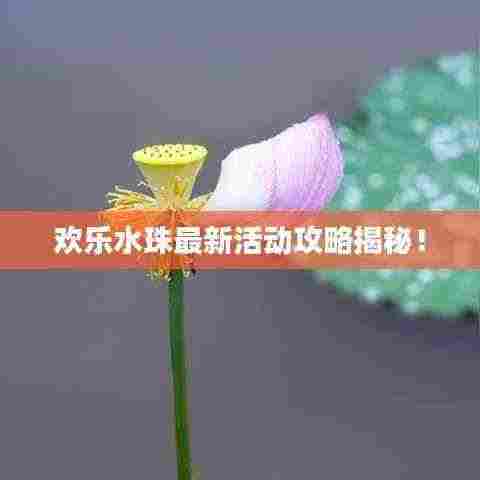 欢乐水珠最新活动攻略揭秘!