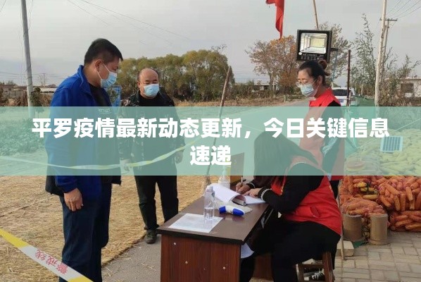 平罗疫情最新动态更新,今日关键信息速递