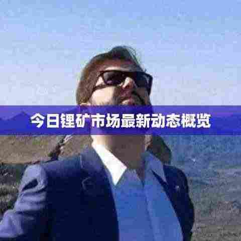 今日锂矿市场最新动态概览