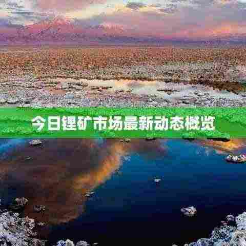 今日锂矿市场最新动态概览