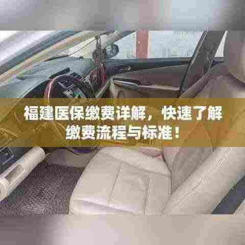 福建医保缴费详解,快速了解缴费流程与标准!