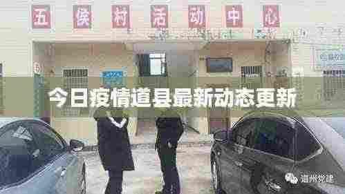 今日疫情道县最新动态更新