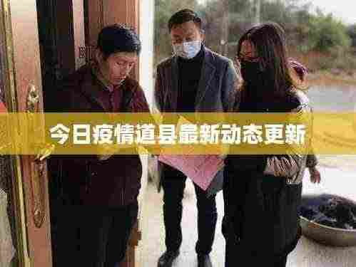 今日疫情道县最新动态更新