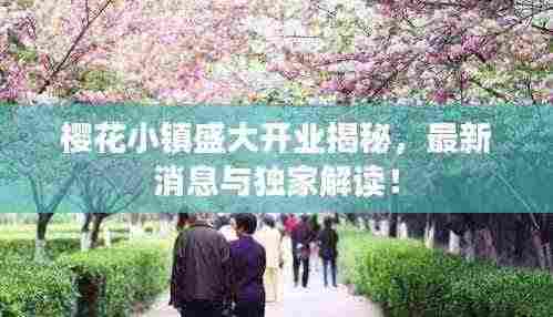 樱花小镇盛大开业揭秘,最新消息与独家解读!