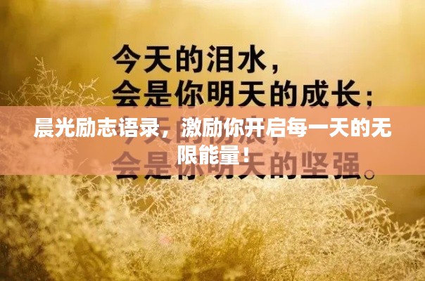 晨光励志语录,激励你开启每一天的无限能量!