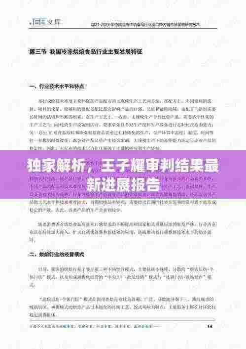 独家解析，王子耀审判结果最新进展报告