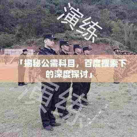 「揭秘公需科目，百度搜索下的深度探讨」