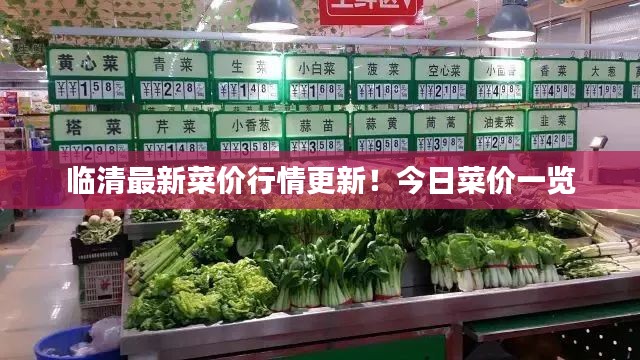 临清最新菜价行情更新!今日菜价一览