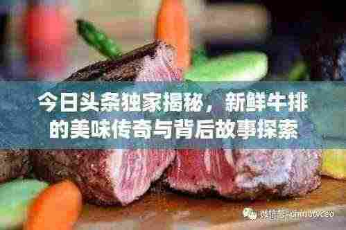 今日头条独家揭秘，新鲜牛排的美味传奇与背后故事探索