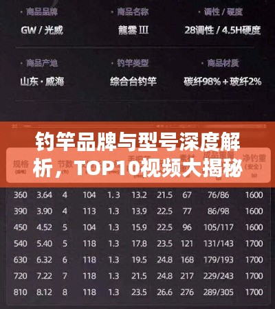 钓竿品牌与型号深度解析,TOP10视频大揭秘!