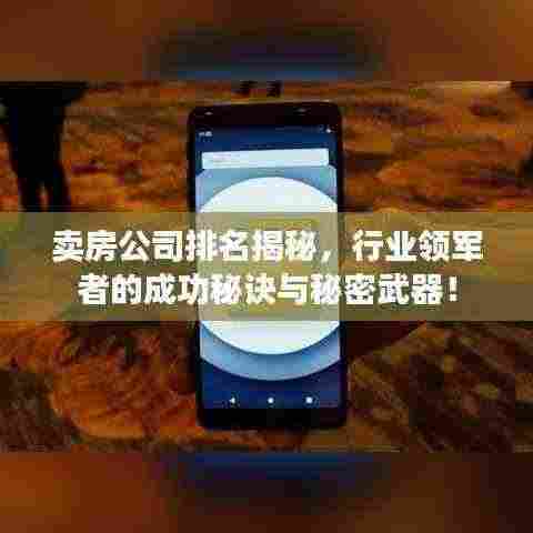卖房公司排名揭秘，行业领军者的成功秘诀与秘密武器！