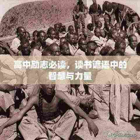 望其项背 第4页