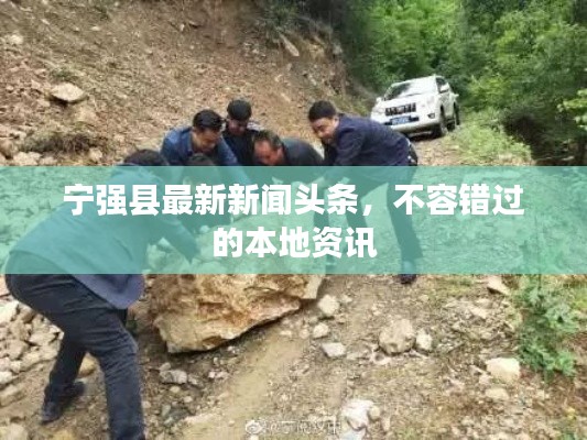宁强县最新新闻头条,不容错过的本地资讯