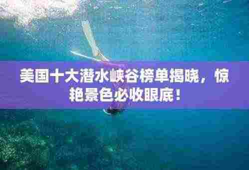 美国十大潜水峡谷榜单揭晓,惊艳景色必收眼底!