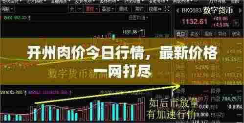 开州肉价今日行情,最新价格一网打尽