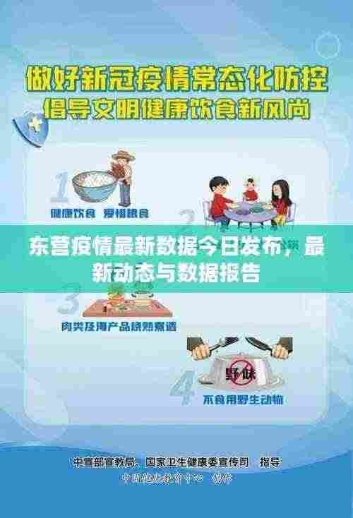 东营疫情最新数据今日发布，最新动态与数据报告