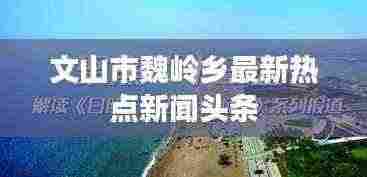 文山市魏岭乡最新热点新闻头条