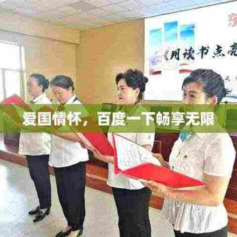 爱国情怀，百度一下畅享无限