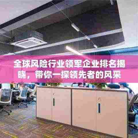 全球风险行业领军企业排名揭晓,带你一探领先者的风采
