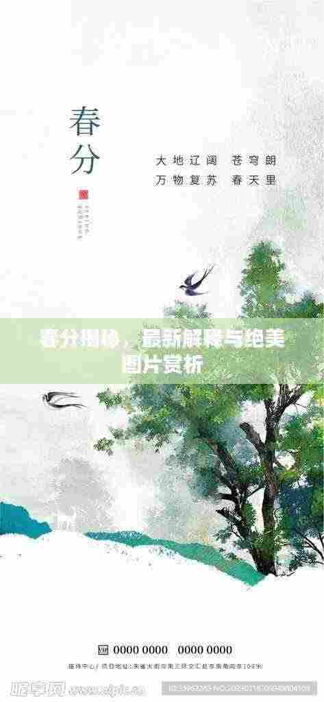 春分揭秘,最新解释与绝美图片赏析