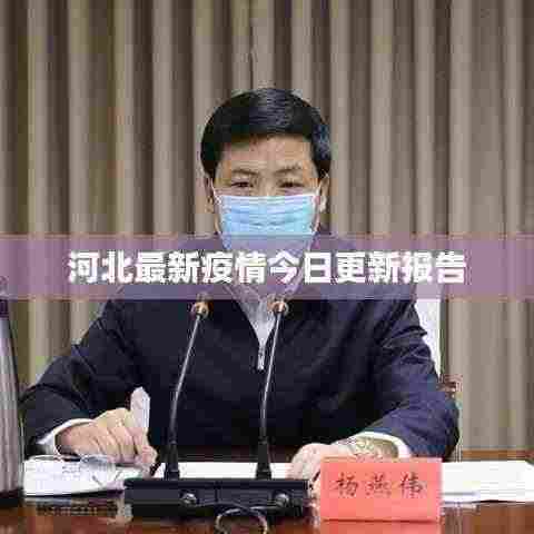 河北最新疫情今日更新报告