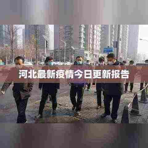 河北最新疫情今日更新报告