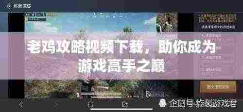 老鸡攻略视频下载,助你成为游戏高手之巅