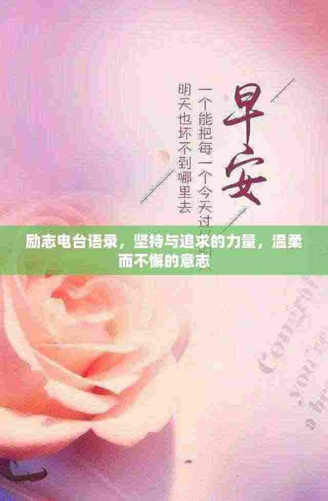 励志电台语录,坚持与追求的力量,温柔而不懈的意志