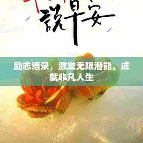 励志语录,激发无限潜能,成就非凡人生