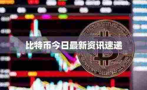 比特币今日最新资讯速递