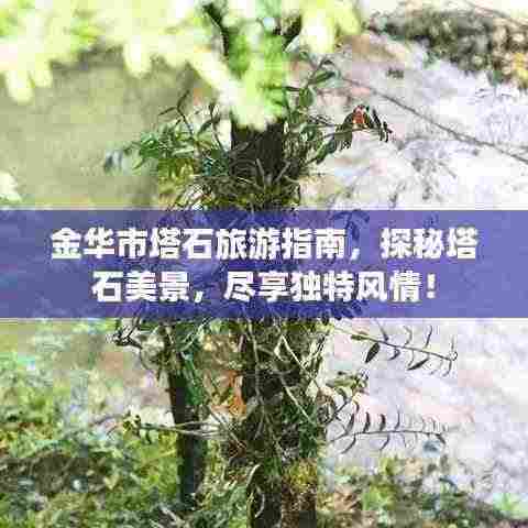 金华市塔石旅游指南,探秘塔石美景,尽享独特风情!