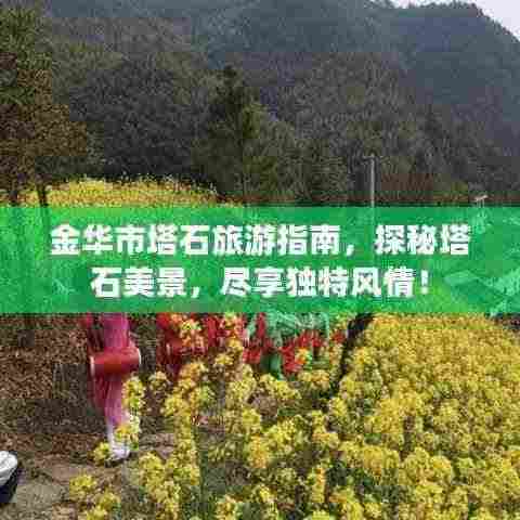 金华市塔石旅游指南,探秘塔石美景,尽享独特风情!