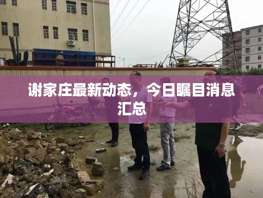 谢家庄最新动态,今日瞩目消息汇总