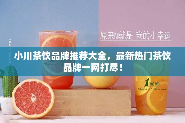 小川茶饮品牌推荐大全,最新热门茶饮品牌一网打尽!