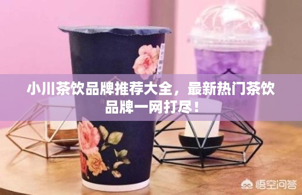 小川茶饮品牌推荐大全,最新热门茶饮品牌一网打尽!