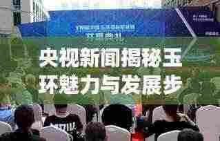 央视新闻揭秘玉环魅力与发展步伐,探寻独特风采与前行步伐