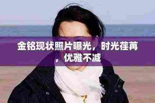 金铭现状照片曝光,时光荏苒,优雅不减