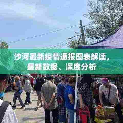 沙河最新疫情通报图表解读,最新数据、深度分析