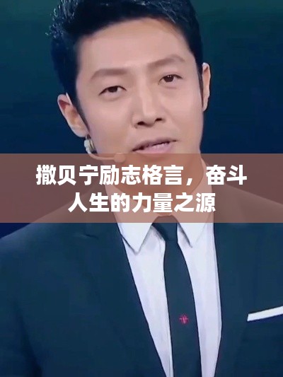 撒贝宁励志格言,奋斗人生的力量之源