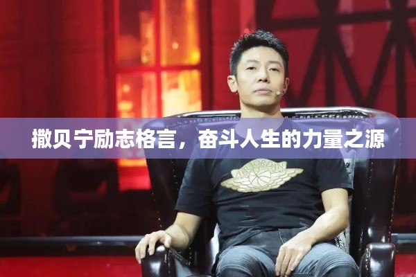 撒贝宁励志格言,奋斗人生的力量之源