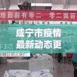 咸宁市疫情最新动态更新