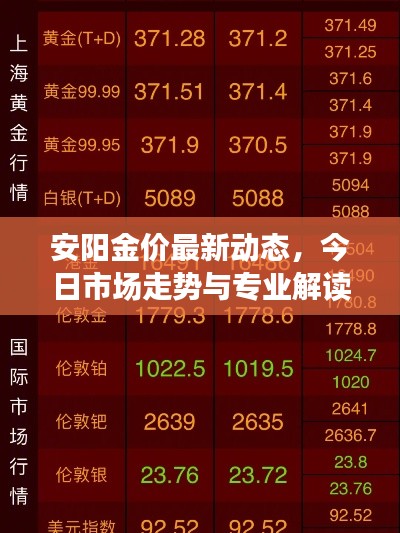 安阳金价最新动态,今日市场走势与专业解读