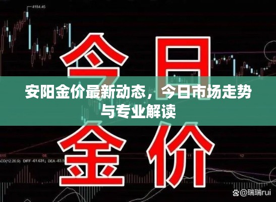 安阳金价最新动态,今日市场走势与专业解读