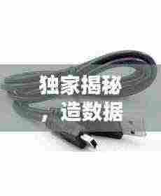 独家揭秘,造数据线充电器行业的公司排名!